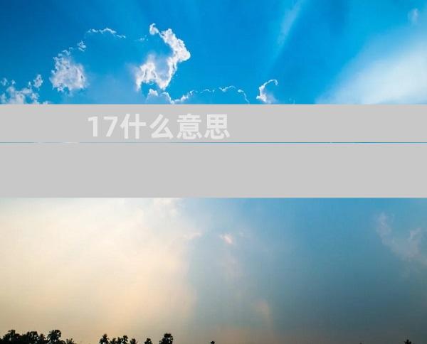 17什么意思