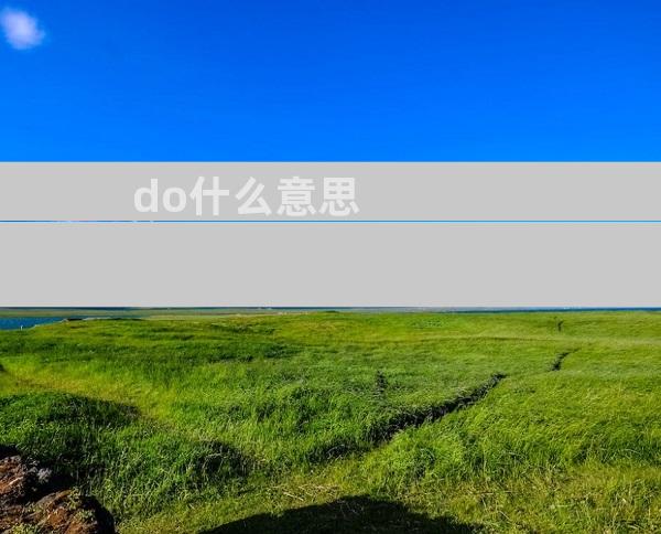 do什么意思