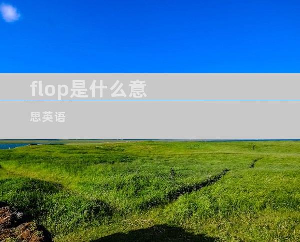 flop是什么意思英语