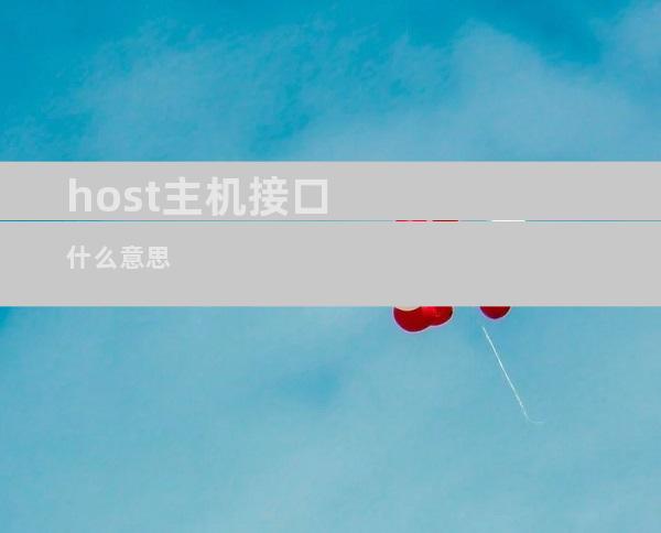 host主机接口什么意思
