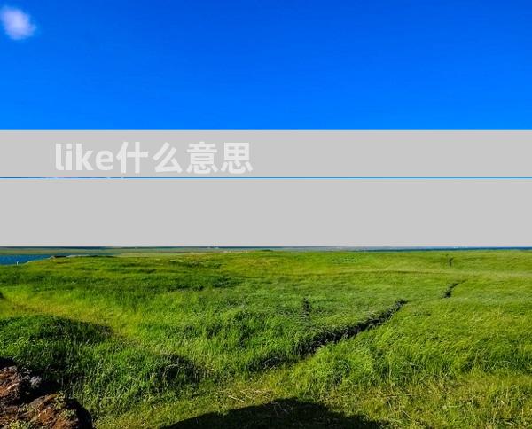 like什么意思