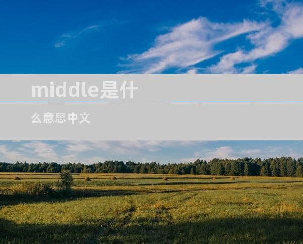 middle是什么意思中文