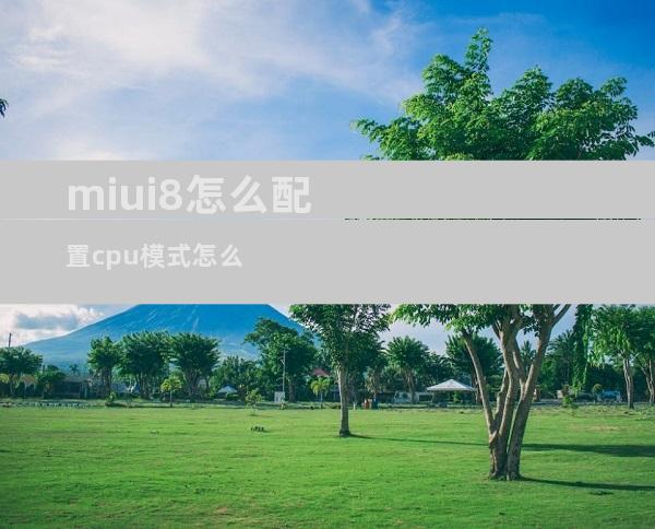 miui8怎么配置cpu模式怎么