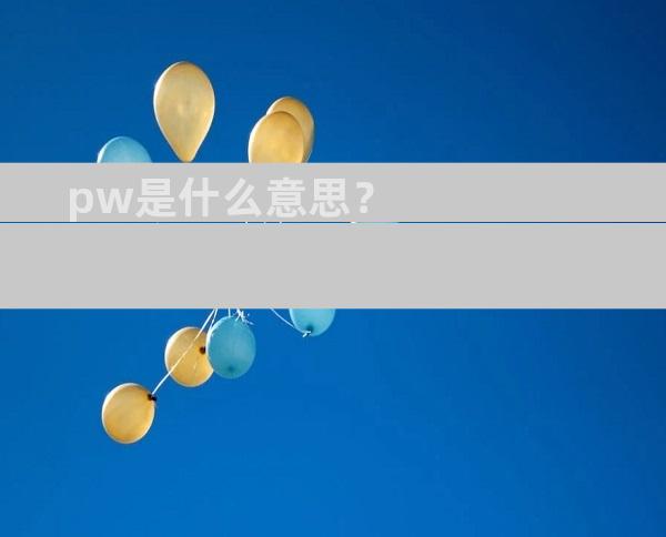 pw是什么意思？