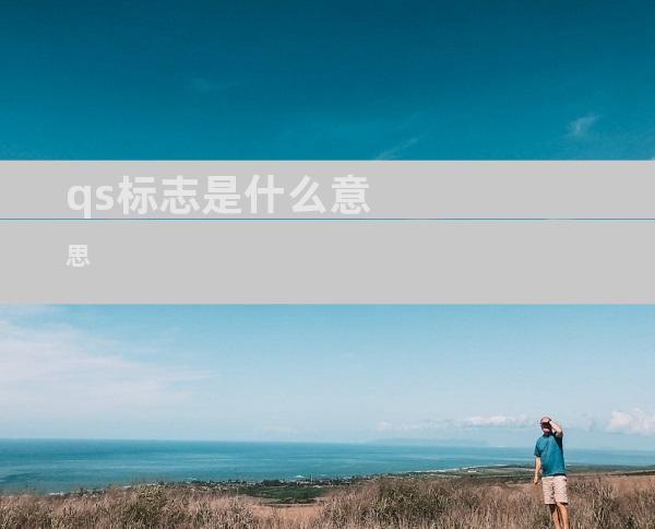 qs标志是什么意思