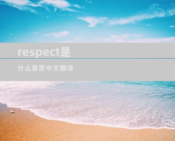 respect是什么意思中文翻译