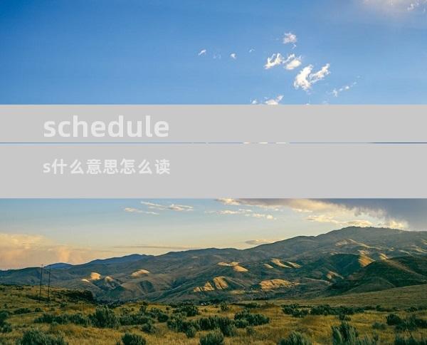 schedules什么意思怎么读