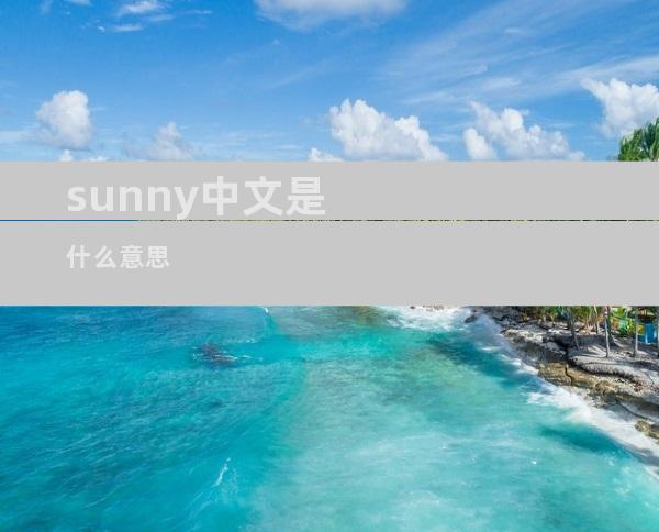 sunny中文是什么意思