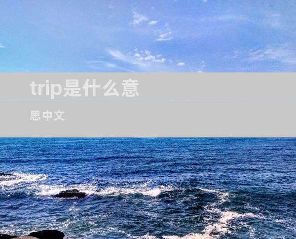trip是什么意思中文