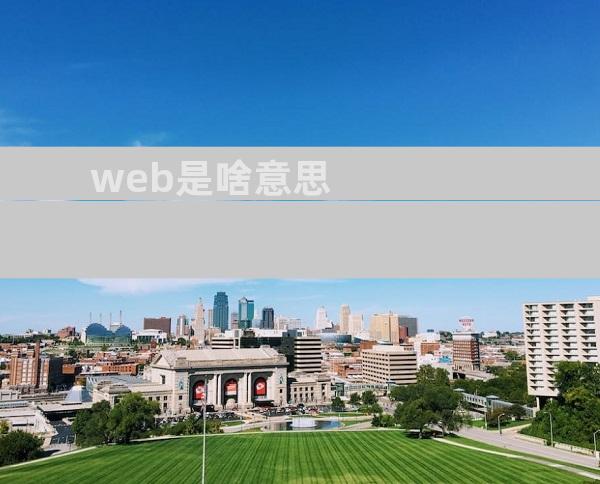web是啥意思