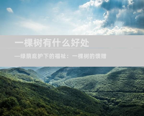 一棵树有什么好处—绿荫庇护下的福祉：一棵树的馈赠