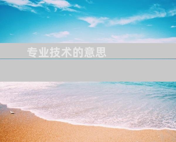 专业技术的意思