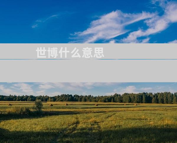 世博什么意思
