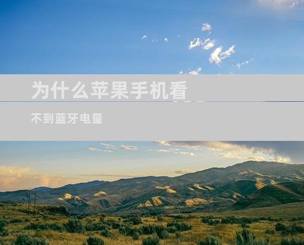 为什么苹果手机看不到蓝牙电量
