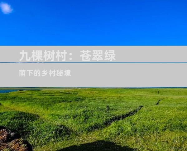九棵树村：苍翠绿荫下的乡村秘境