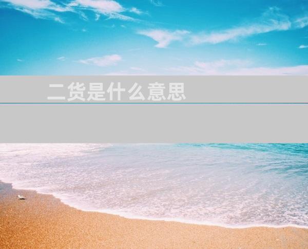 二货是什么意思