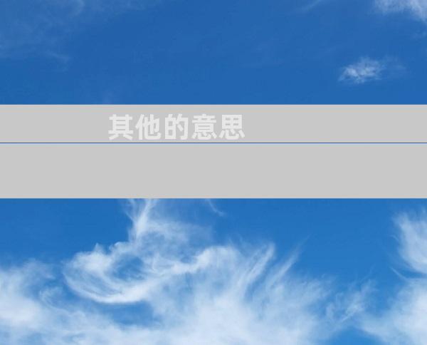 其他的意思