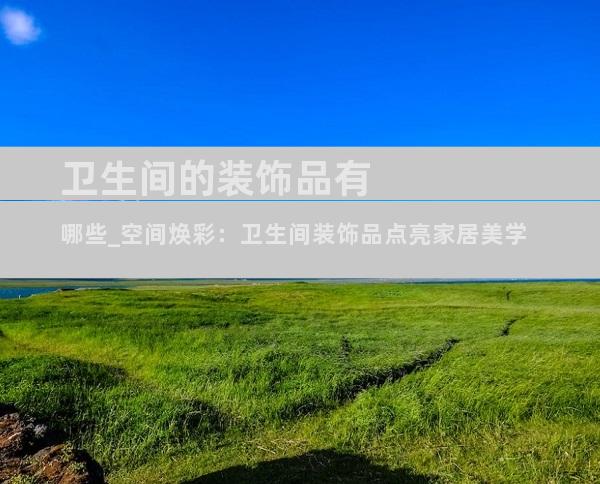 卫生间的装饰品有哪些_空间焕彩：卫生间装饰品点亮家居美学