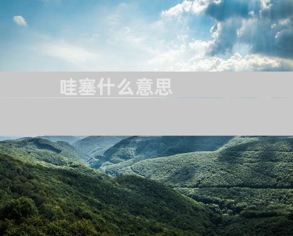 哇塞什么意思