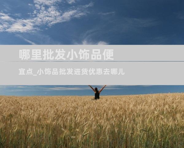 哪里批发小饰品便宜点_小饰品批发进货优惠去哪儿