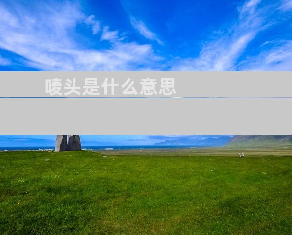 唛头是什么意思