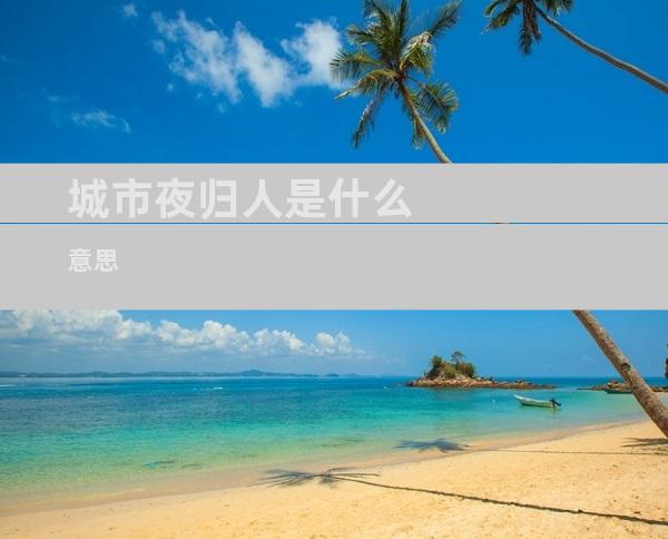 城市夜归人是什么意思