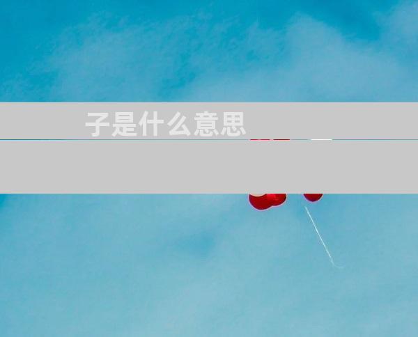 子是什么意思