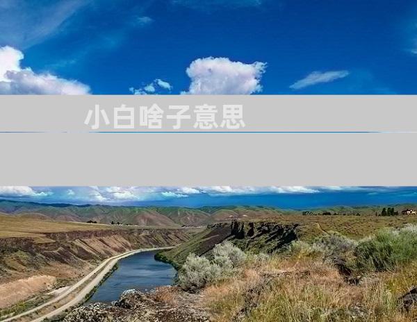 小白啥子意思