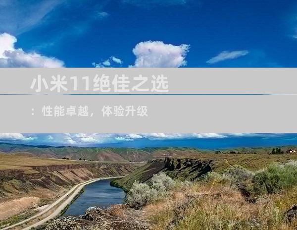 小米11绝佳之选：性能卓越，体验升级