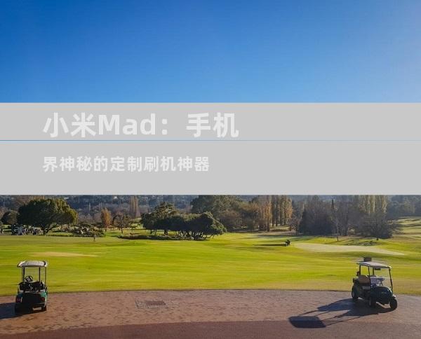 小米Mad：手机界神秘的定制刷机神器