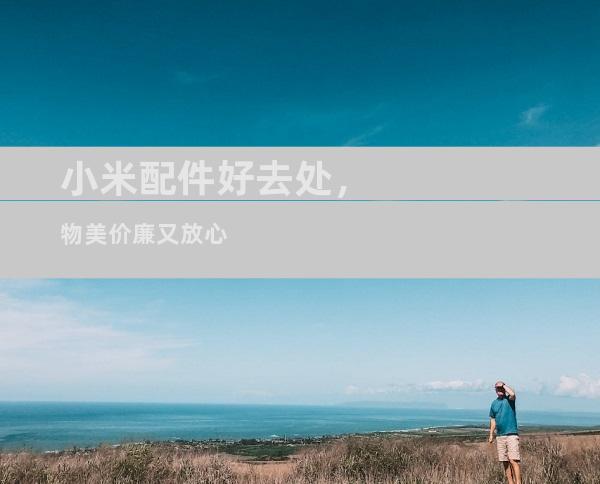 小米配件好去处，物美价廉又放心