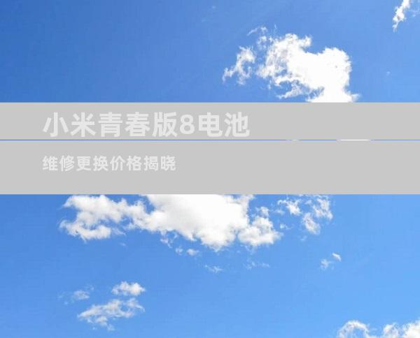 小米青春版8电池维修更换价格揭晓