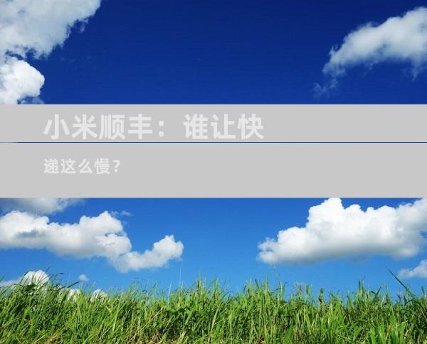 小米顺丰：谁让快递这么慢？