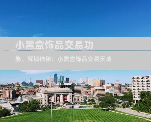 小黑盒饰品交易功能、解锁神秘：小黑盒饰品交易天地