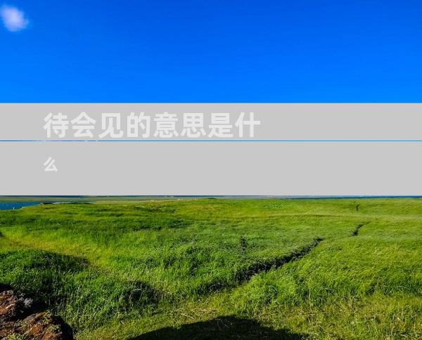 待会见的意思是什么