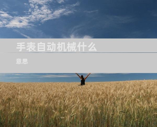 手表自动机械什么意思