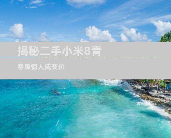 揭秘二手小米8青春版惊人成交价