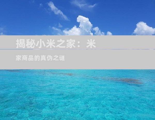 揭秘小米之家：米家商品的真伪之谜
