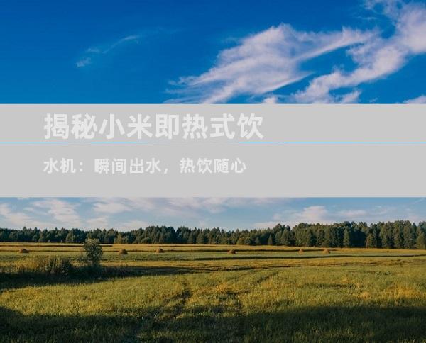 揭秘小米即热式饮水机：瞬间出水，热饮随心