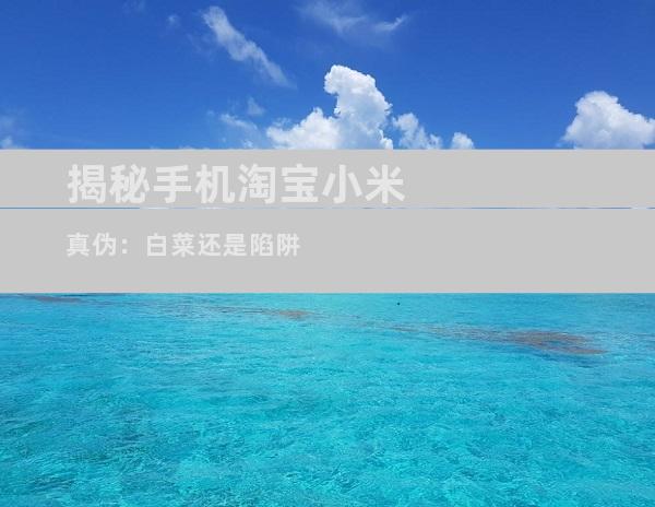 揭秘手机淘宝小米真伪：白菜还是陷阱