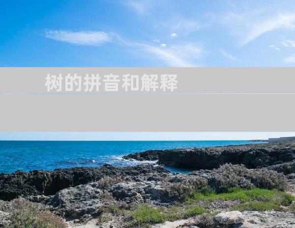 树的拼音和解释