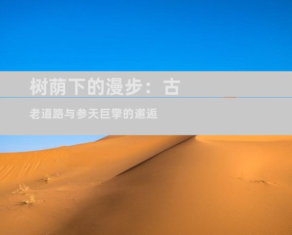 树荫下的漫步：古老道路与参天巨擎的邂逅