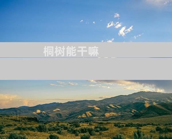 桐树能干嘛
