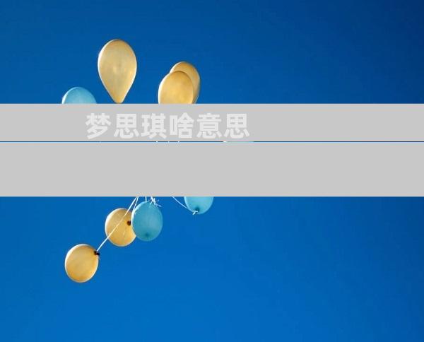 梦思琪啥意思
