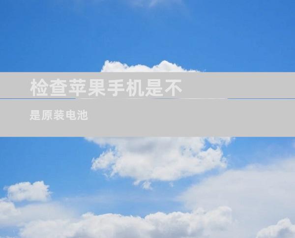 检查苹果手机是不是原装电池