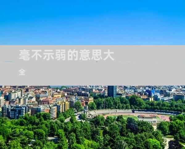 毫不示弱的意思大全