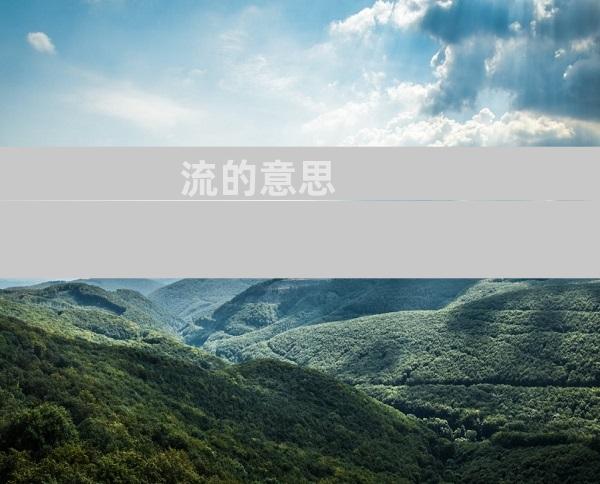 流的意思