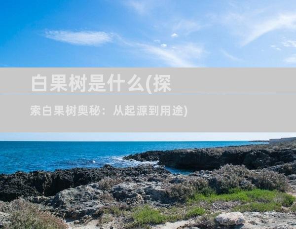 白果树是什么(探索白果树奥秘：从起源到用途)