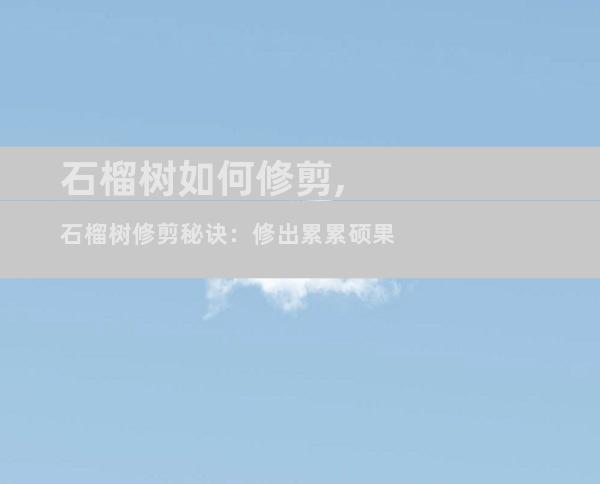 石榴树如何修剪,石榴树修剪秘诀：修出累累硕果