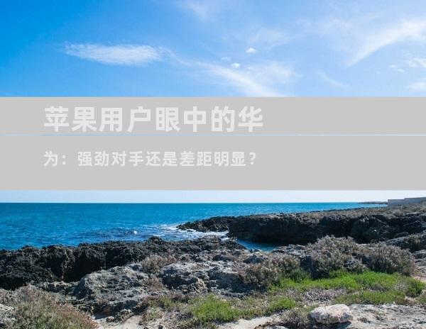苹果用户眼中的华为：强劲对手还是差距明显？